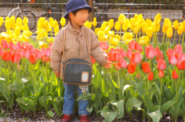 長男の幼稚園生活はじまりはじまり