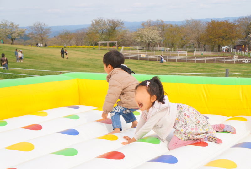 マザー牧場　子どもの遊び場