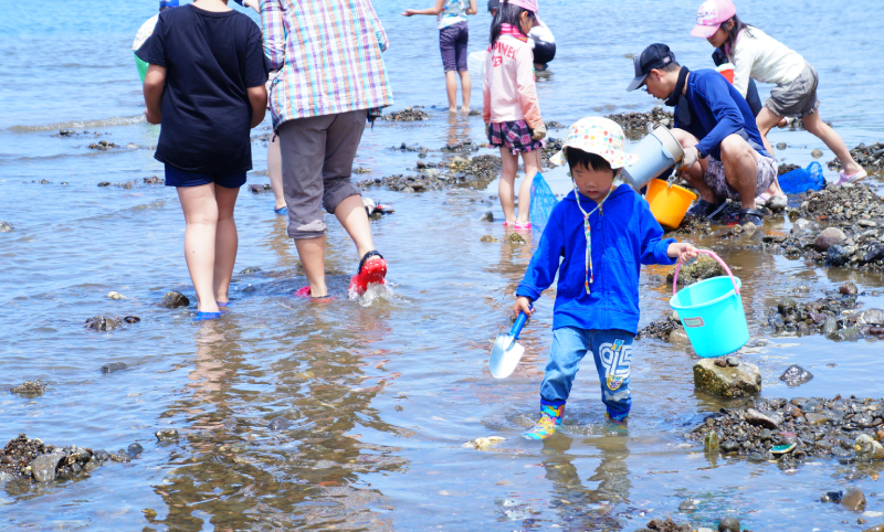 静岡の天然潮干狩り場