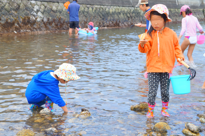 静岡の天然潮干狩り場