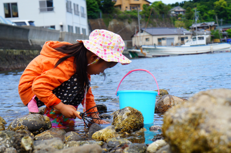 静岡の天然潮干狩り場