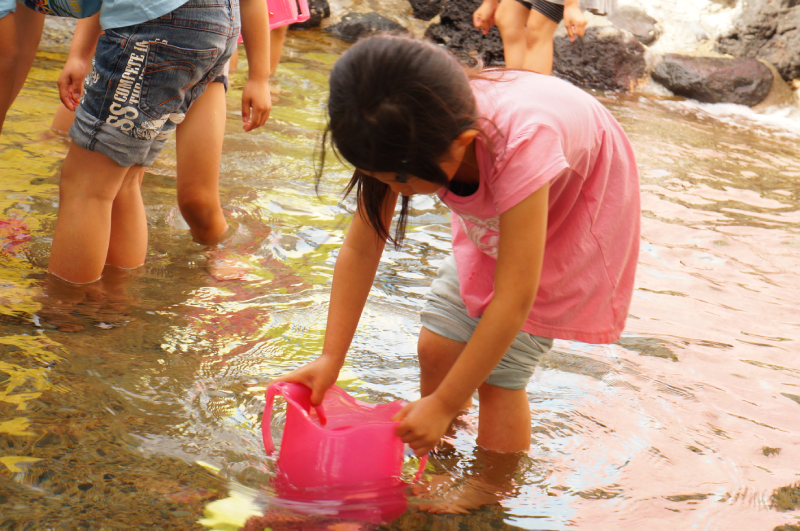 伊豆・三津シーパラダイスへ行ってきた 磯遊び
