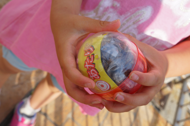 伊豆・三津シーパラダイスへ行ってきた 魚の餌が大当たり