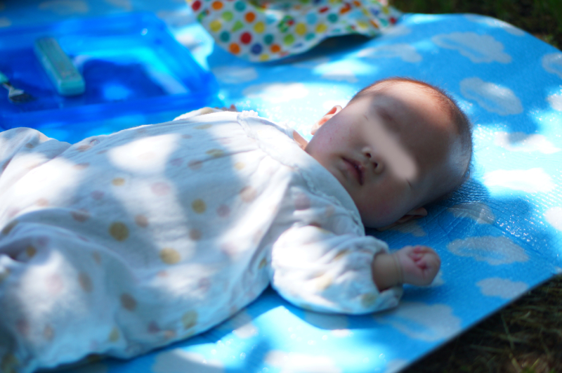 都市農業公園　芝生広場