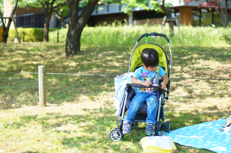 都市農業公園　芝生広場
