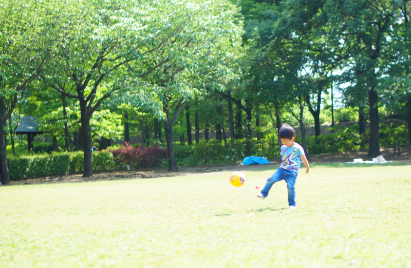 都市農業公園　芝生広場