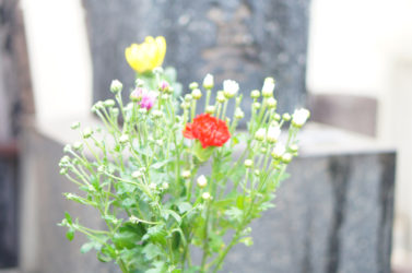 お墓参りと公園