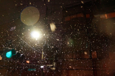 2026年1月東京に雪が降った