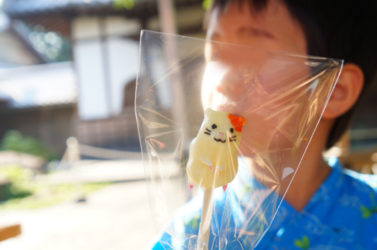 光源寺・駒込大観音『ほおずき千成り市』