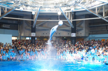 エプソン品川へ(現アクアパーク品川）