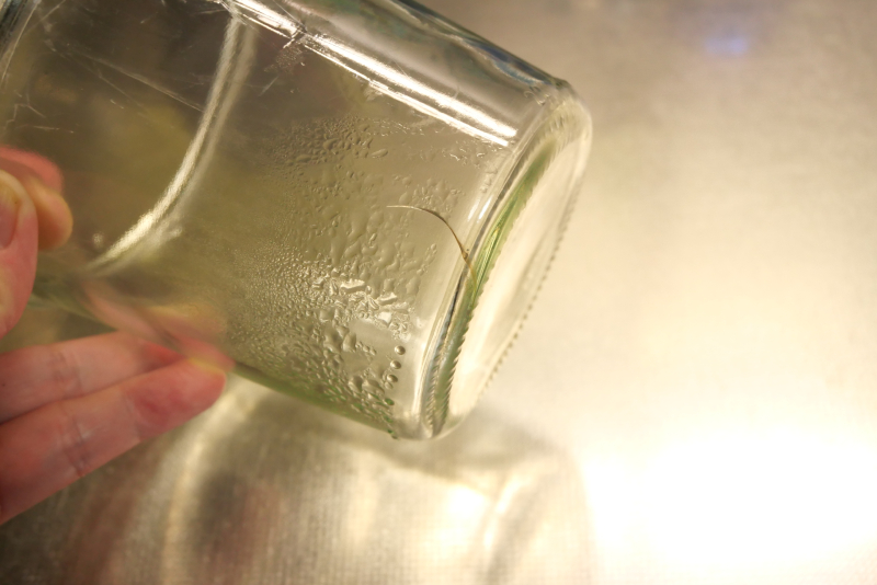 水耕栽培 バジル 遮光