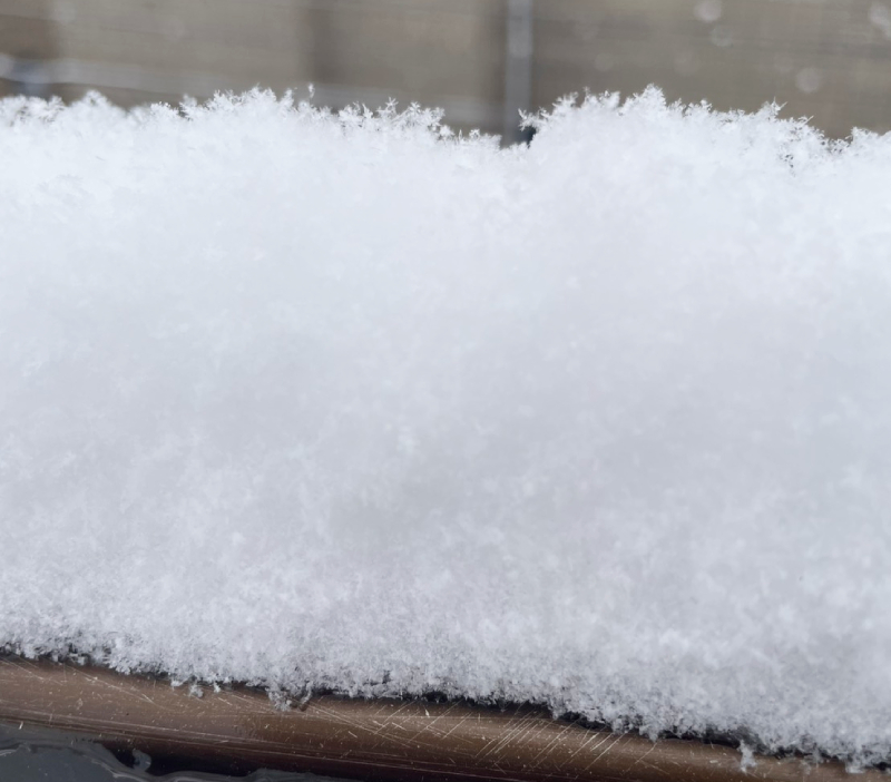 2026年2月東京の雪