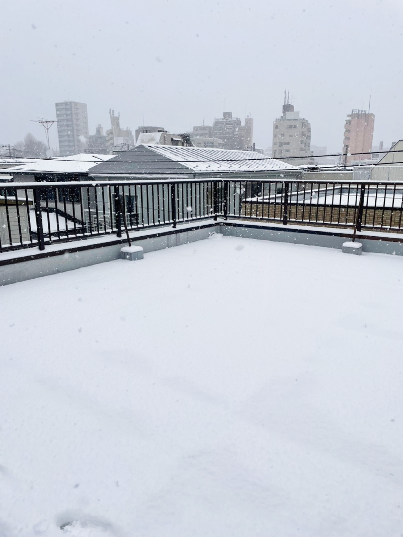 2026年2月東京の雪