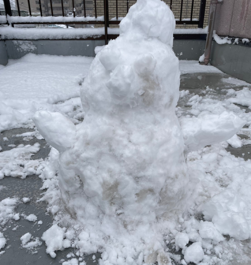 2026年2月東京の雪