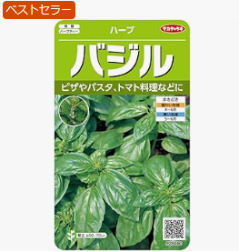 サカタのタネ 実咲ハーブ8080 バジル ハーブ
