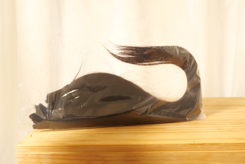 小5、初めてのヘアドネーション「東京義髪整形」へ発送