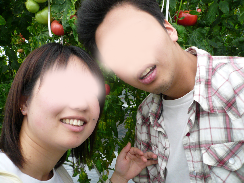 マザー牧場　トマト狩り