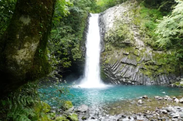 伊豆旅行ドライブ